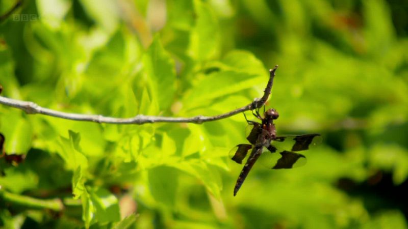 美国艺术 Art of America