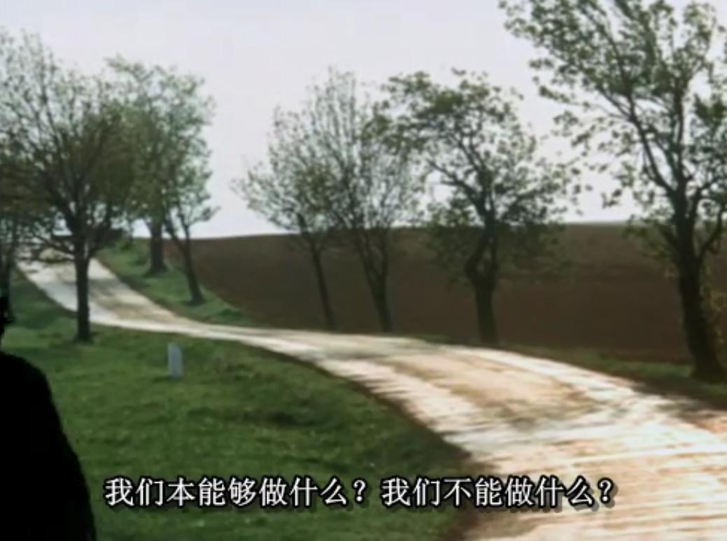 捷克斯洛伐克60年代新浪潮电影二十五面体 25 ze šedesátých, aneb československá nová vlna