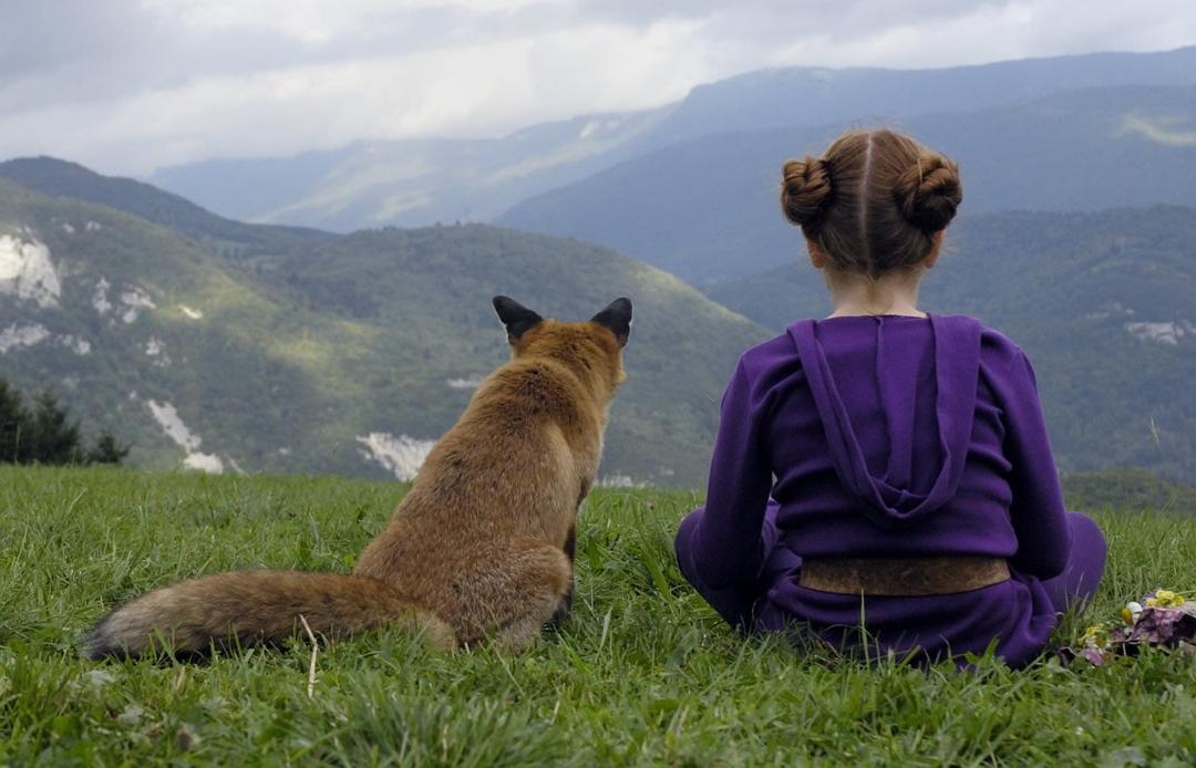 狐狸与我 Le renard et l'enfant