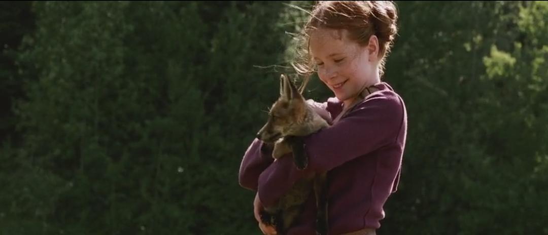 狐狸与我 Le renard et l'enfant