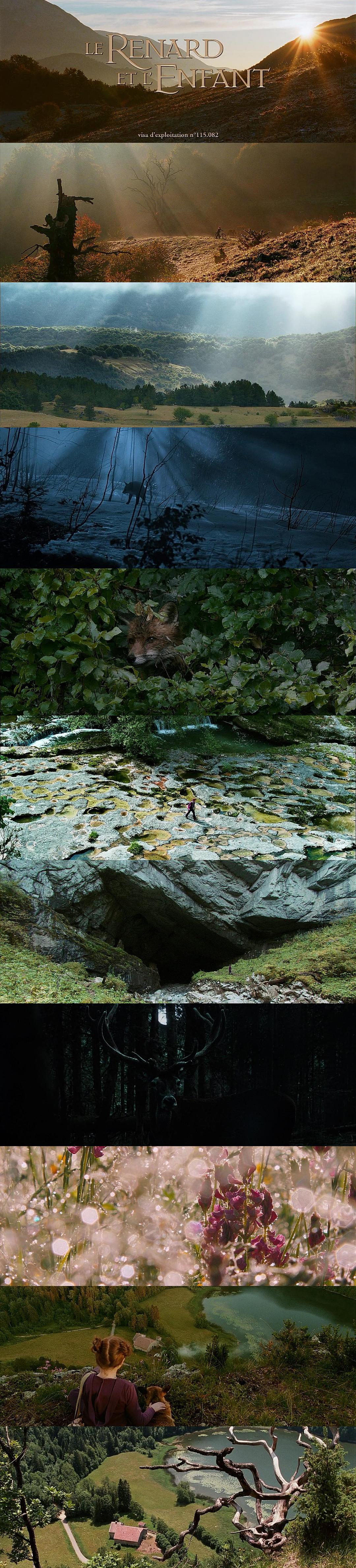 狐狸与我 Le renard et l'enfant