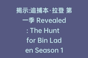 揭示:追捕本·拉登 第一季 Revealed: The Hunt for Bin Laden Season 1