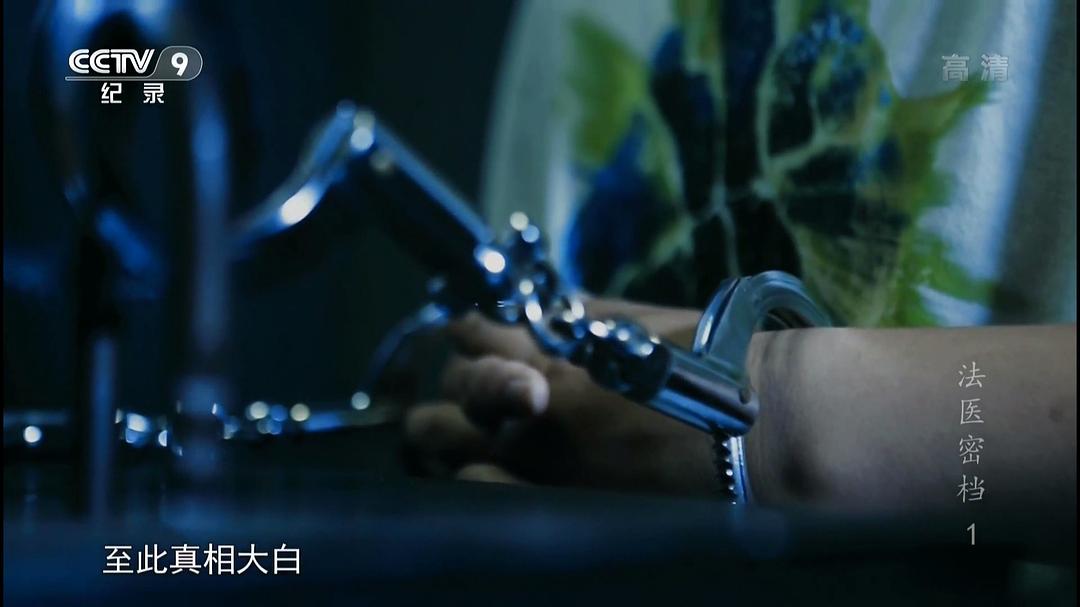 法医密档
