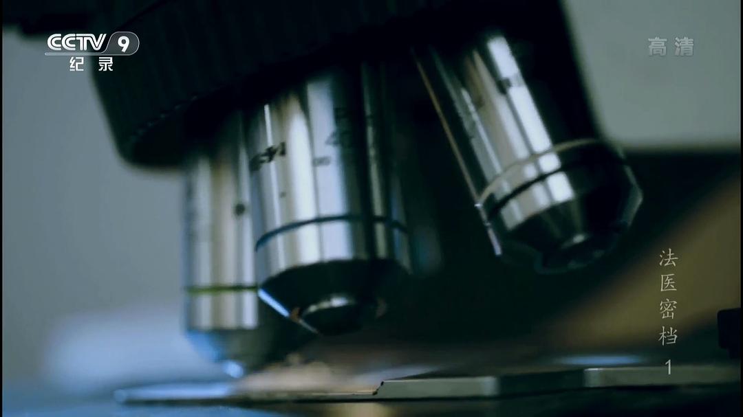 法医密档