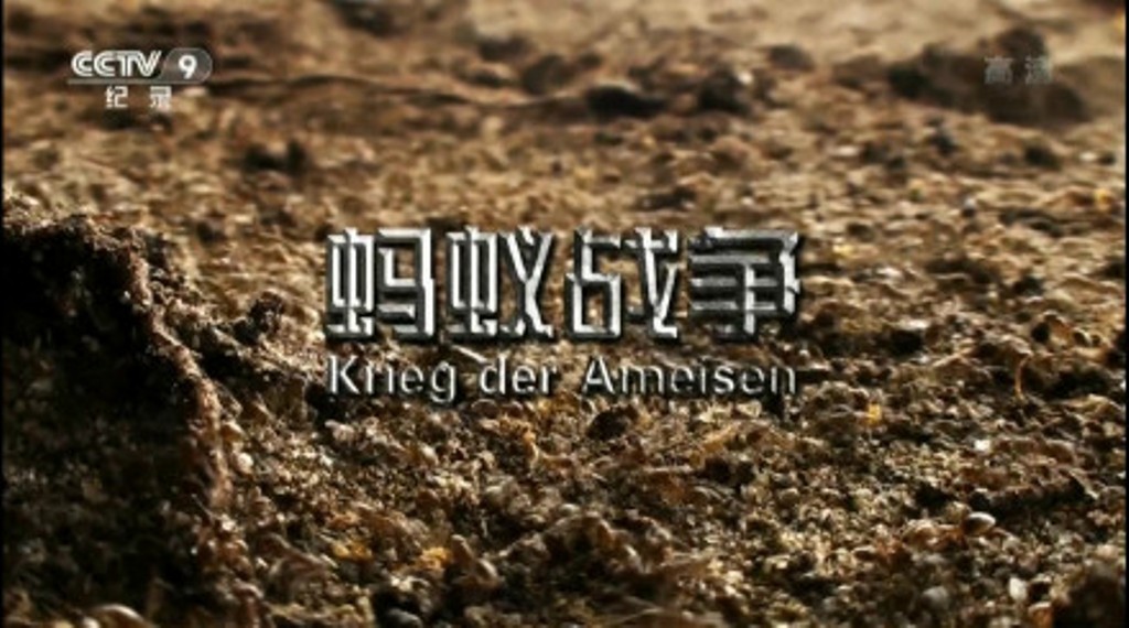 蚂蚁战争 Krieg der Ameisen