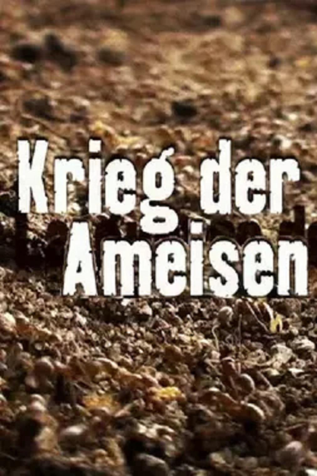 蚂蚁战争 Krieg der Ameisen
