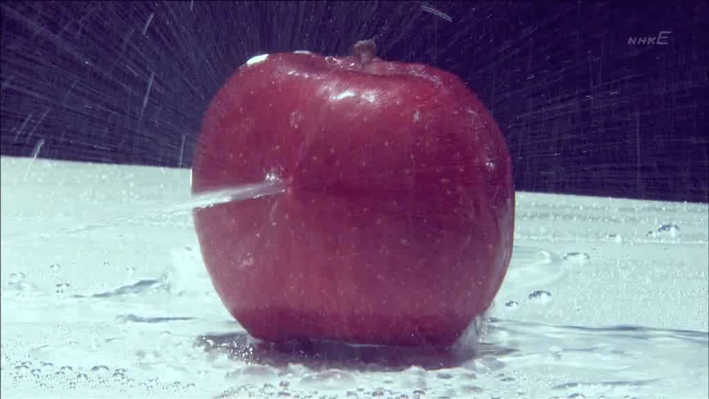 大科学实验 大科学実験