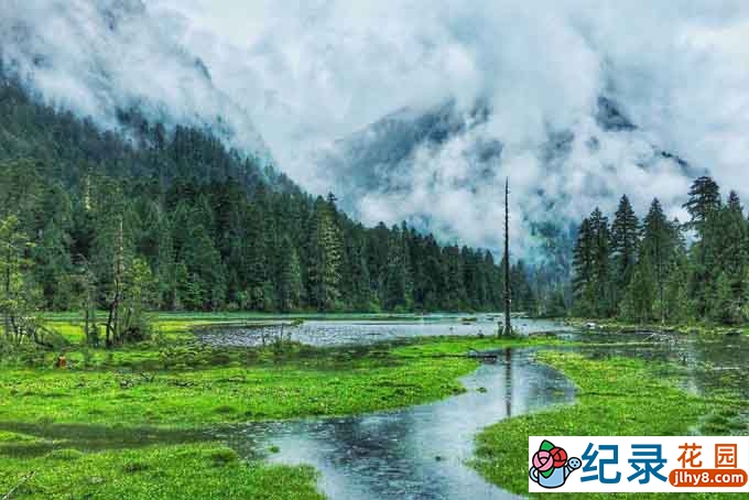 CCTV央视人文地理纪录片《北京中轴线》全5集 720P/1080i高清纪录片百度云