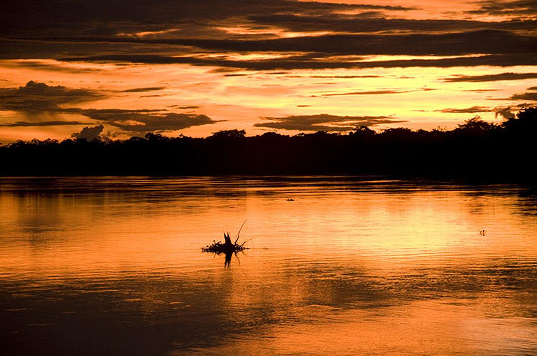 与布鲁斯·帕里游亚马逊 Amazon with Bruce Parry