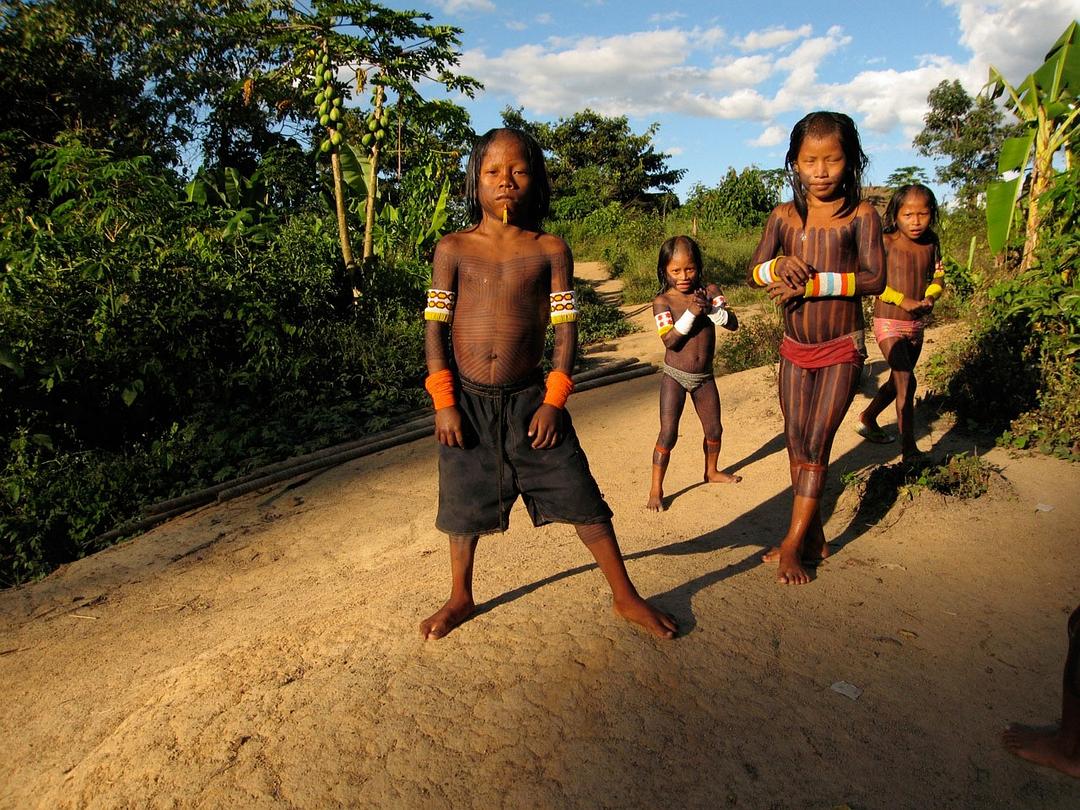 与布鲁斯·帕里游亚马逊 Amazon with Bruce Parry