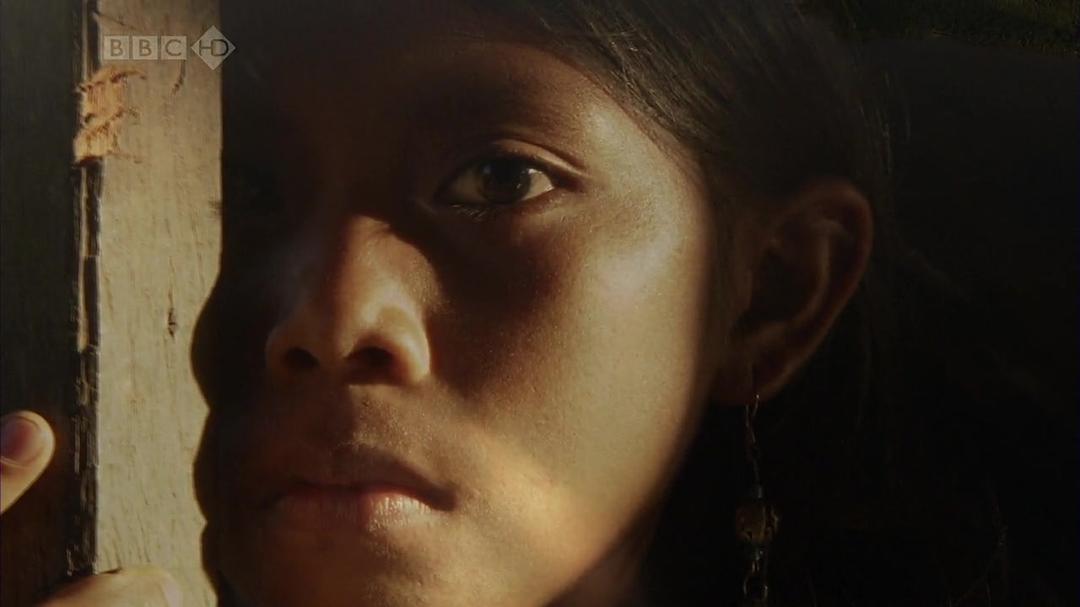 与布鲁斯·帕里游亚马逊 Amazon with Bruce Parry