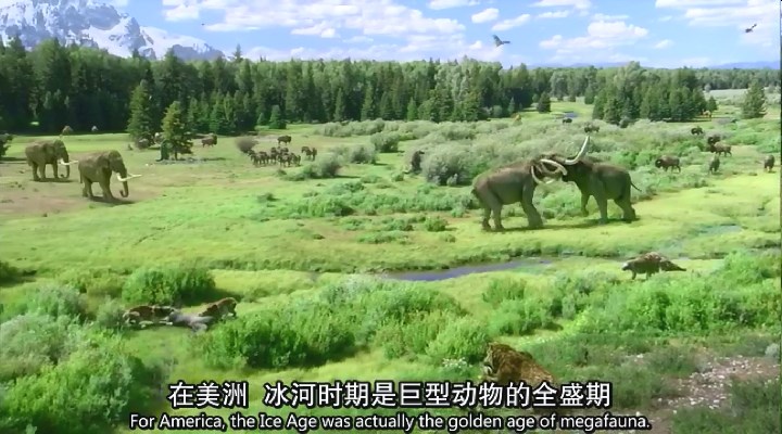 冰河巨兽 Ice Age Giants