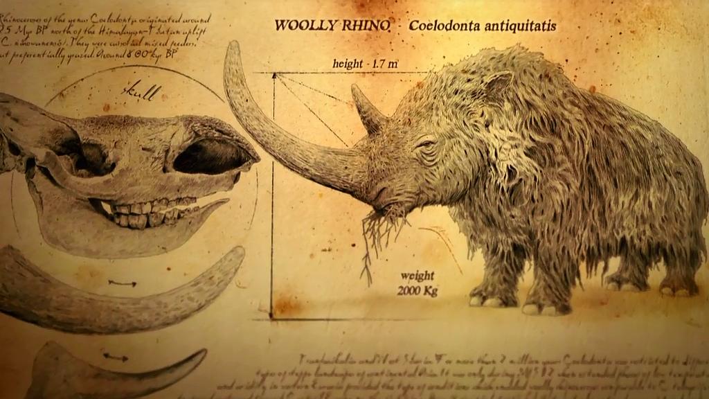 冰河巨兽 Ice Age Giants