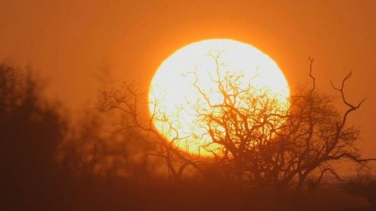 清晨的盛赞 Morning Glory