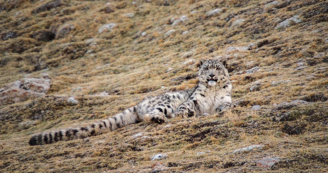 我们诞生在中国 Born in China