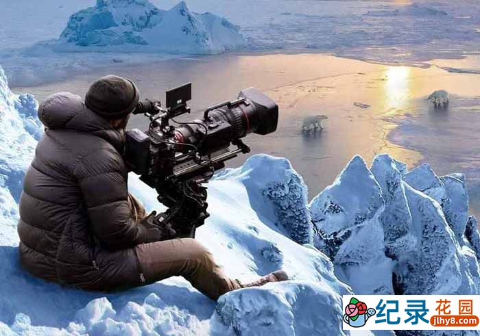 迪士尼影视幕后纪录片《极地熊踪 Bear Witness》全1集中字 1080P纪录片资源百度云盘下载