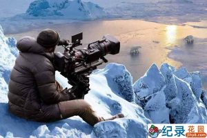 迪士尼影视幕后纪录片《极地熊踪 Bear Witness》全1集中字 1080P纪录片资源百度云盘下载