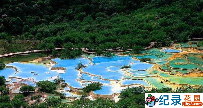 NHK自然地理纪录片《五彩黄龙 Yellow Dragons Colors》全1集中字 1080P纪录片资源百度云盘下载