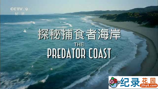 央视自然生态纪录片《探秘捕食者海岸 The Predator Coast》全1集 TS/蓝光高清纪录片资源百度云盘下载