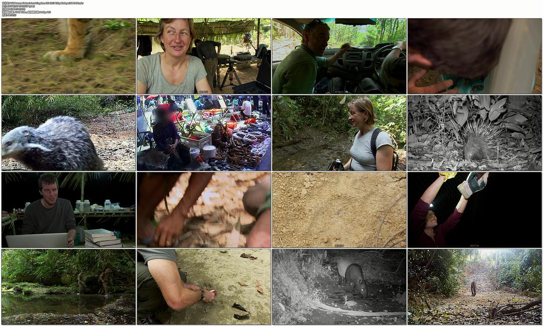 野性缅甸：失落的自然王国 Wild Burma: Nature's Lost Kingdom