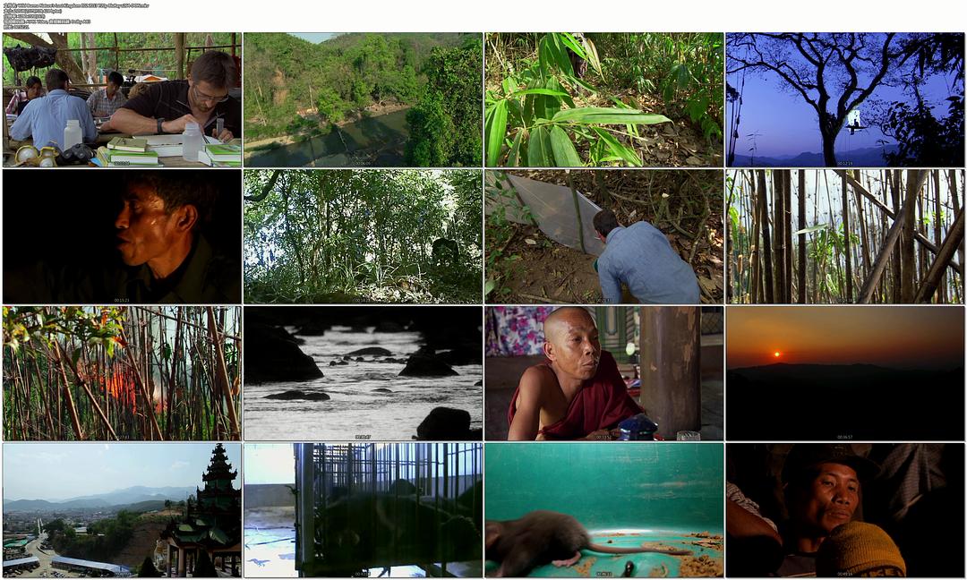 野性缅甸：失落的自然王国 Wild Burma: Nature's Lost Kingdom