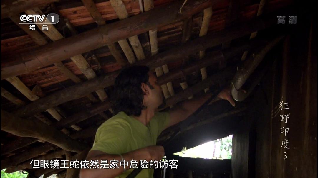 狂野印度 Wildest India