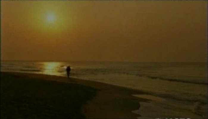 琥珀昆虫 Jewel.of.the.Earth.