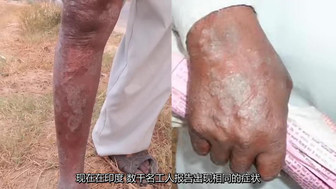 基因轮盘：生命之赌 Genetic Roulette: The Gamble of Our Lives