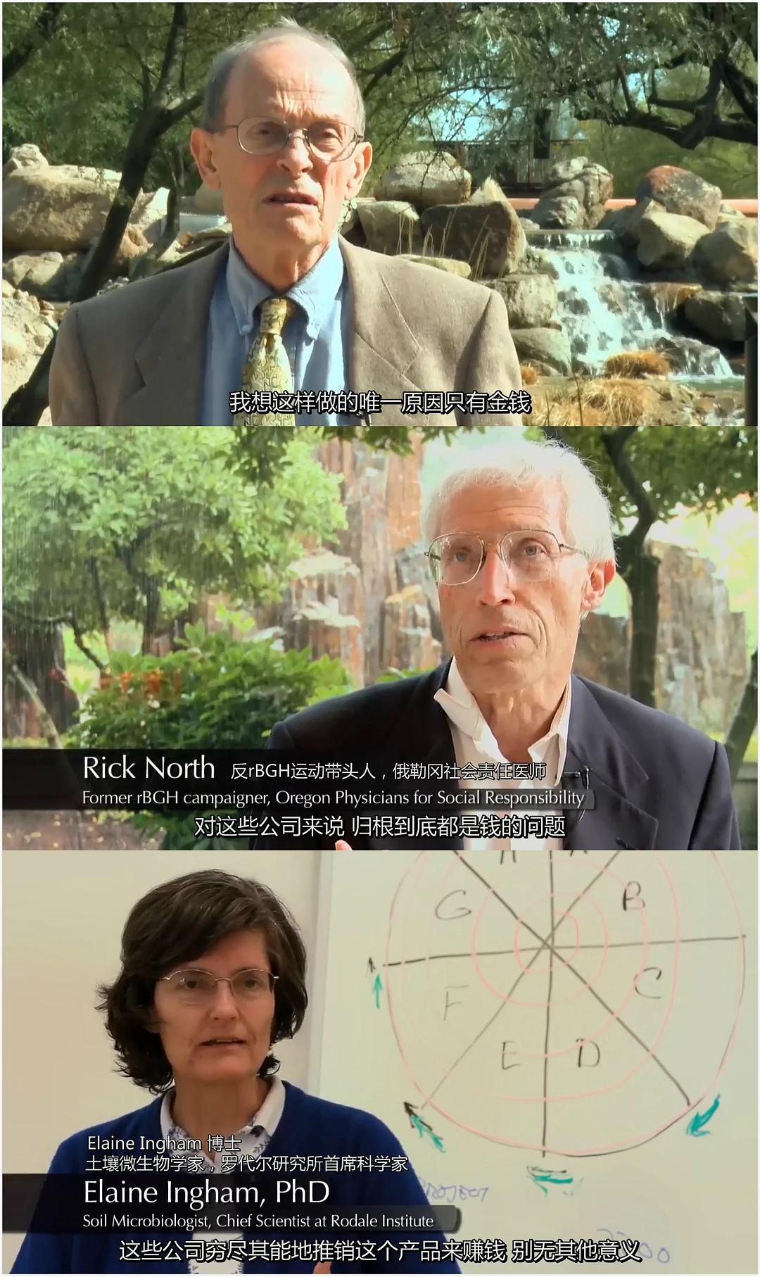 基因轮盘：生命之赌 Genetic Roulette: The Gamble of Our Lives