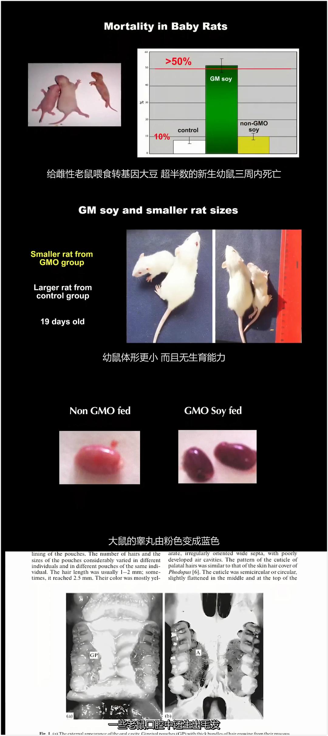 基因轮盘：生命之赌 Genetic Roulette: The Gamble of Our Lives