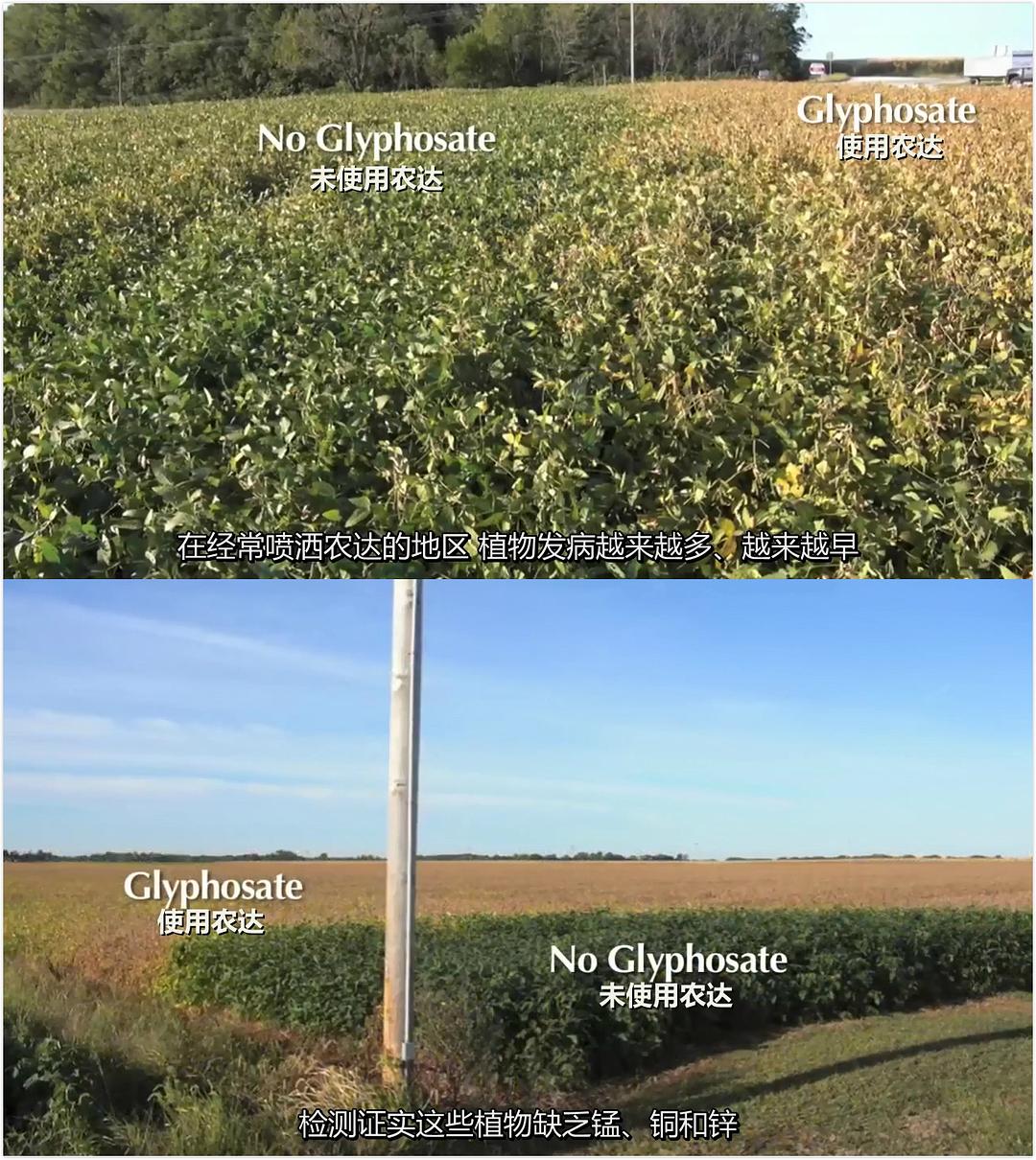 基因轮盘：生命之赌 Genetic Roulette: The Gamble of Our Lives