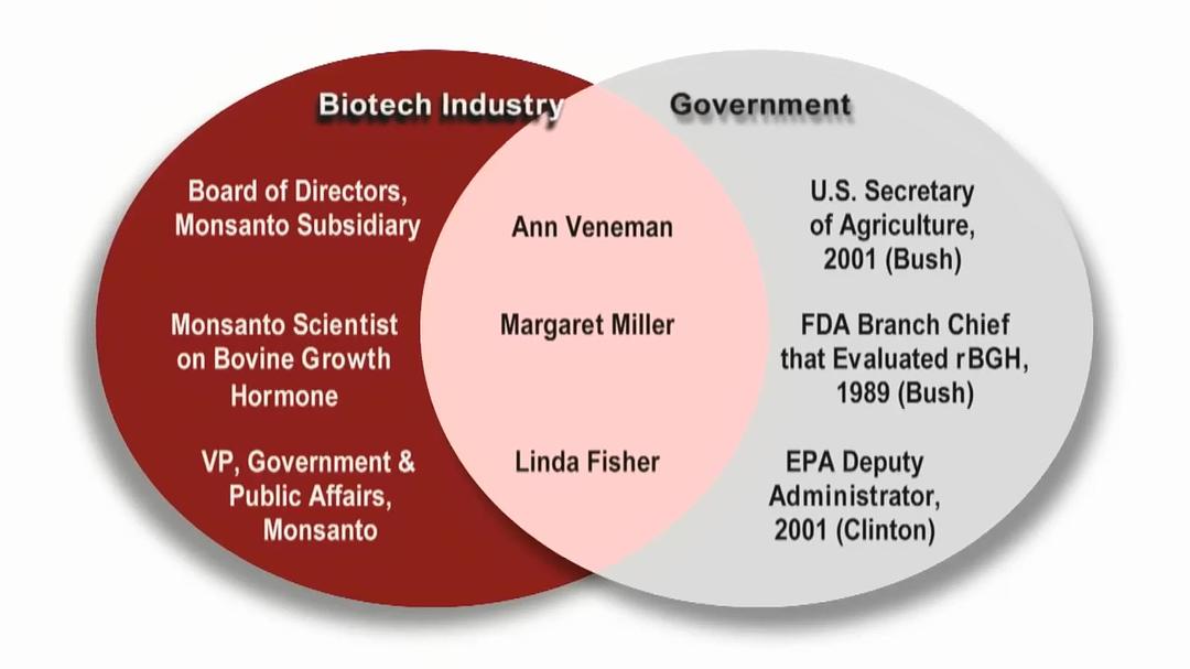 基因轮盘：生命之赌 Genetic Roulette: The Gamble of Our Lives