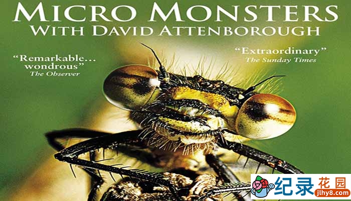 BBC野生动物纪录片《大卫·艾登堡的微型猛兽世界之旅 Micro Monsters》全6集 720P/1080i高清纪录片百度云下载