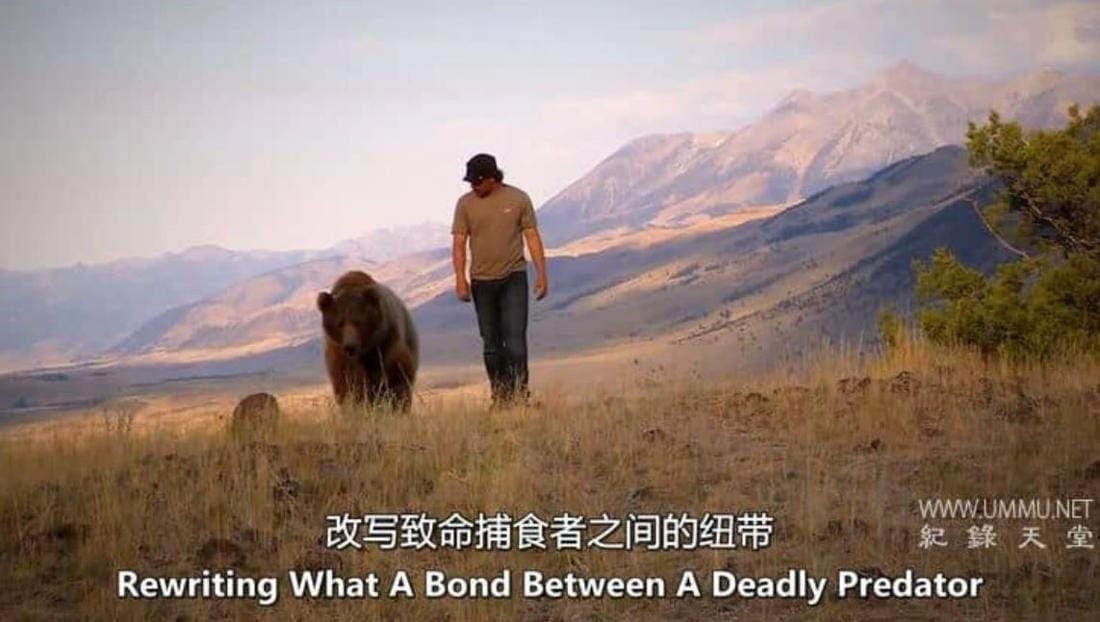 进入光明 Bright Now!