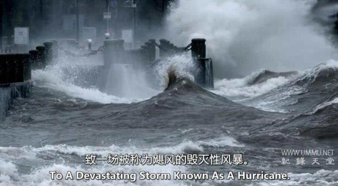 进入光明 Bright Now!