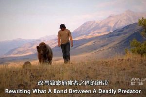 进入光明 Bright Now!