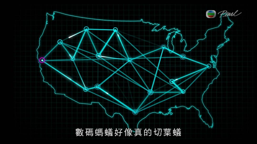 蚂蚁星球 Planet Ant: Life Inside the Colony