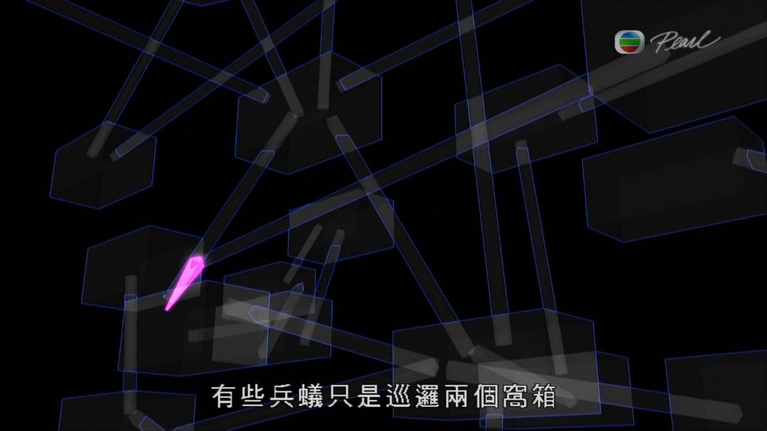 蚂蚁星球 Planet Ant: Life Inside the Colony