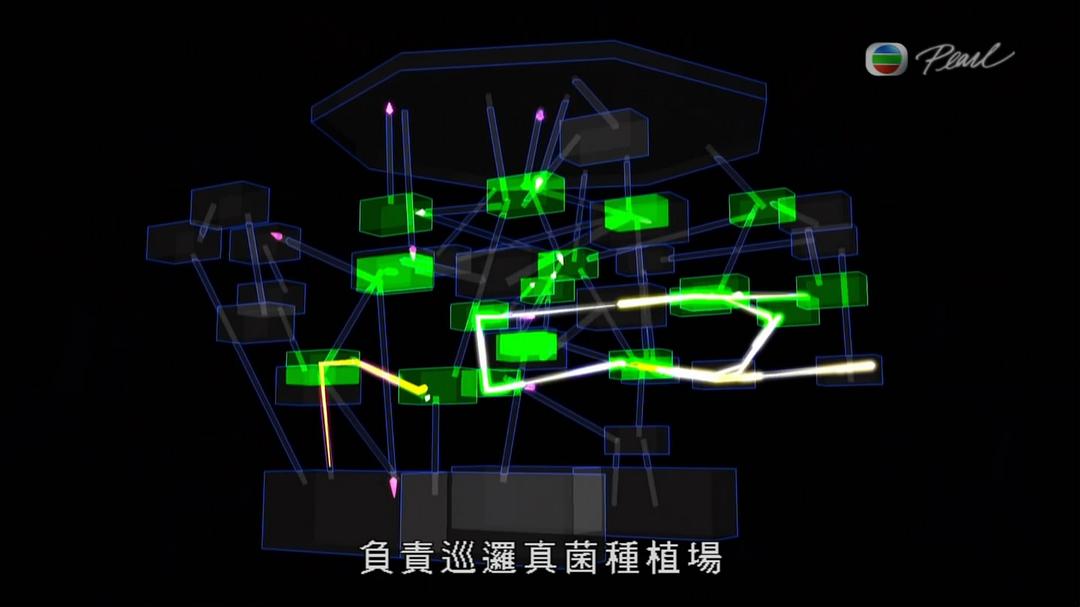 蚂蚁星球 Planet Ant: Life Inside the Colony