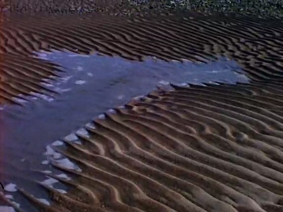 北极冰原 Arctic Kingdom: Life at the Edge