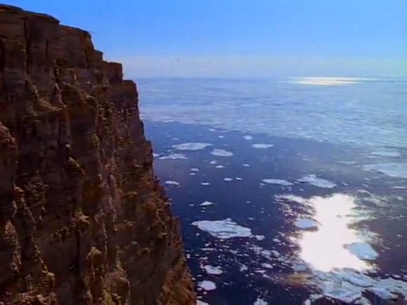 北极冰原 Arctic Kingdom: Life at the Edge