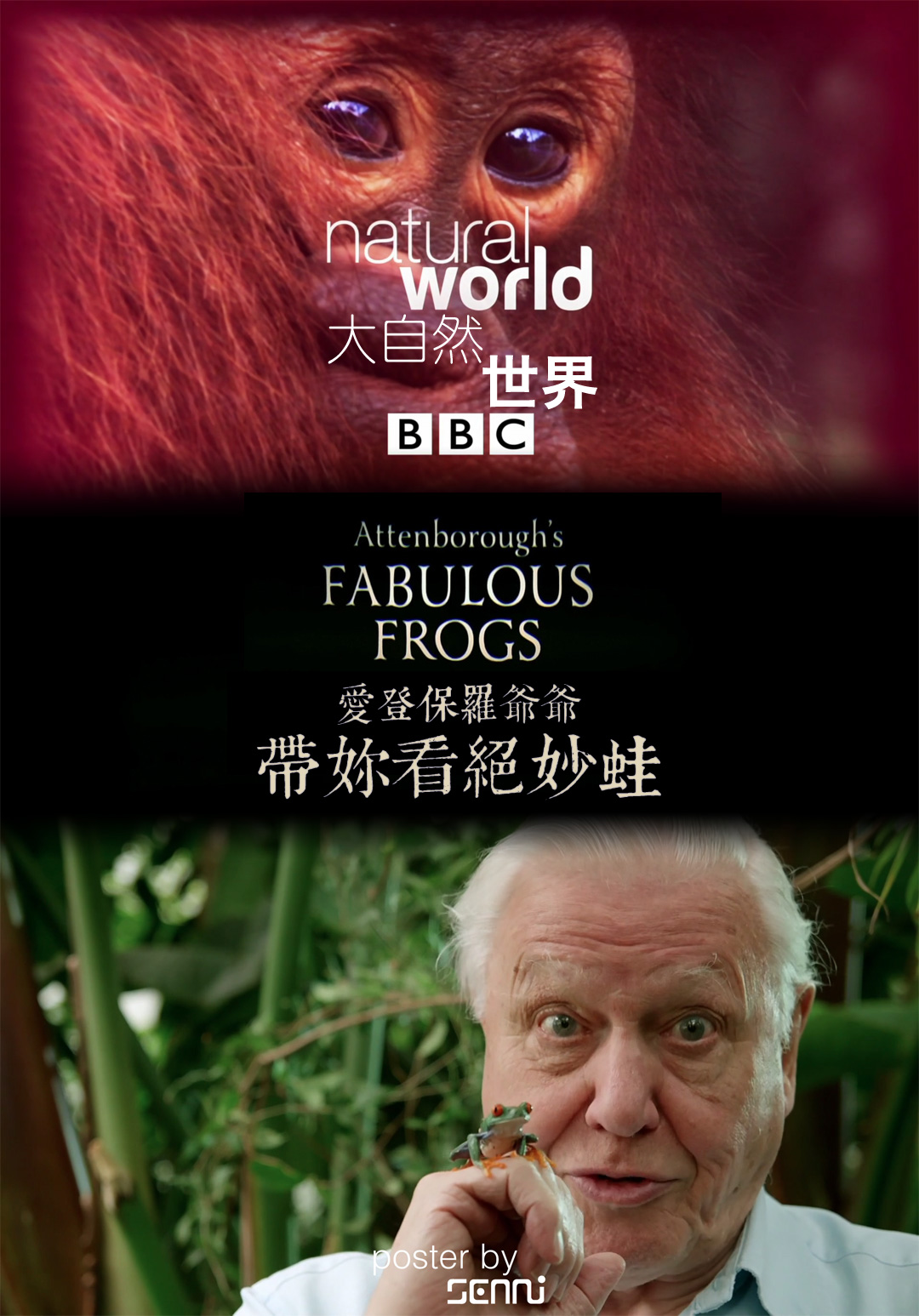 大自然：爱登保罗爷爷带你看绝妙的蛙 Nature: Attenborough's Fabulous Frogs