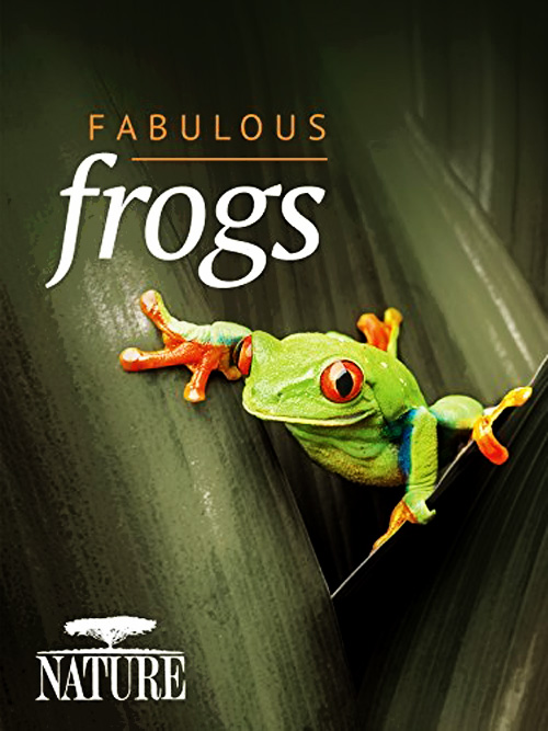 大自然：爱登保罗爷爷带你看绝妙的蛙 Nature: Attenborough's Fabulous Frogs