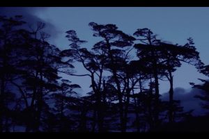 珍珠纽扣 El botón de nácar