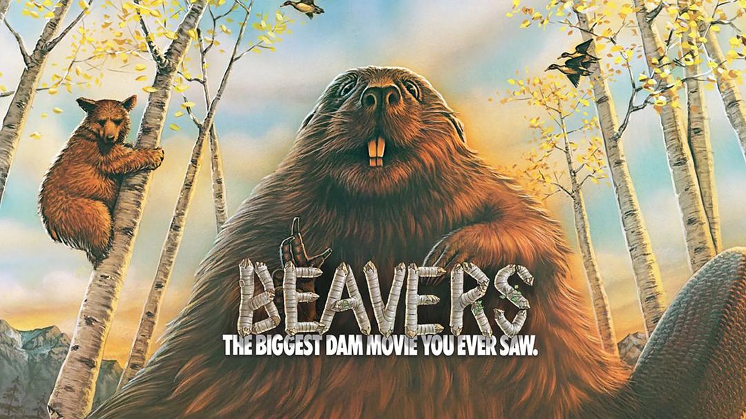 海狸 Beavers