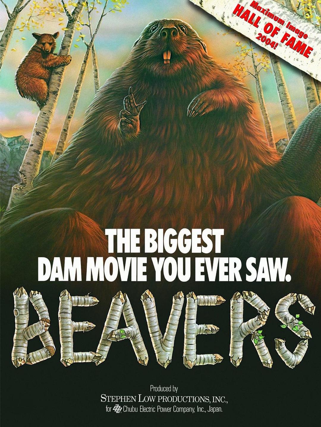 海狸 Beavers