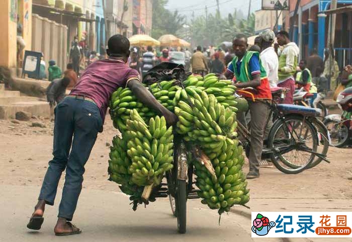 奇葩非洲司机系列纪录片《非洲玩命自行车货运小哥 7Min精华版》全1集原版无字 1080P高清自媒体解说素材百度云盘下载