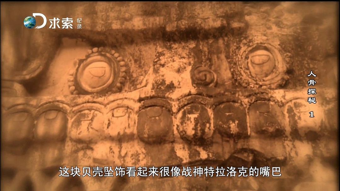 人骨探秘 第一季 Bone Detectives Season 1