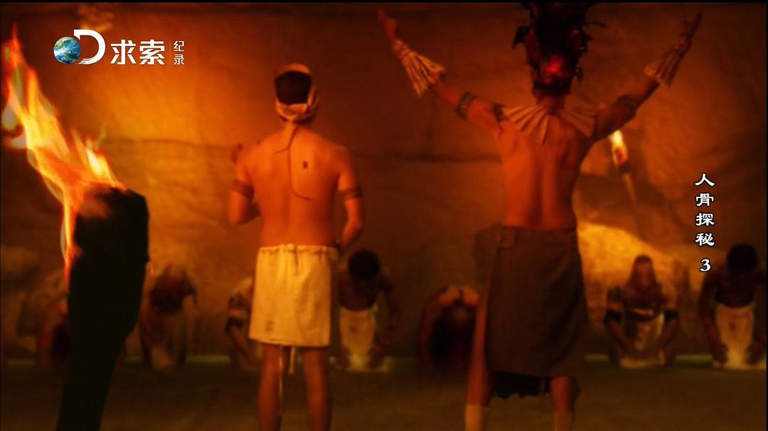 人骨探秘 第一季 Bone Detectives Season 1