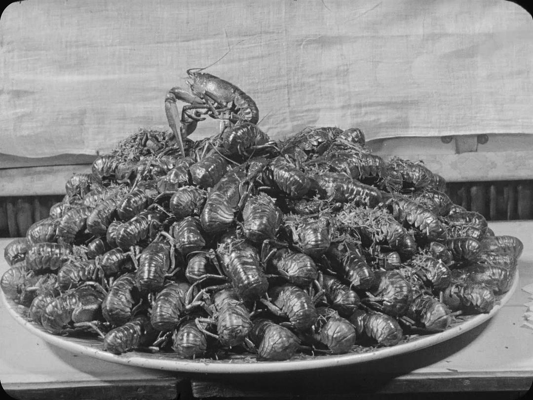 持摄影机的人 Человек с Киноаппаратом